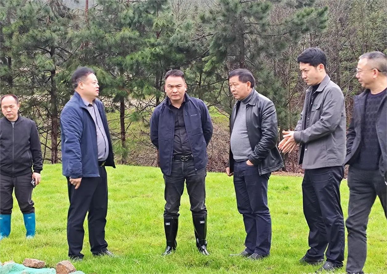 督察有力 整改显效——我市全力推进省生态环境保护督察整改综述_株洲