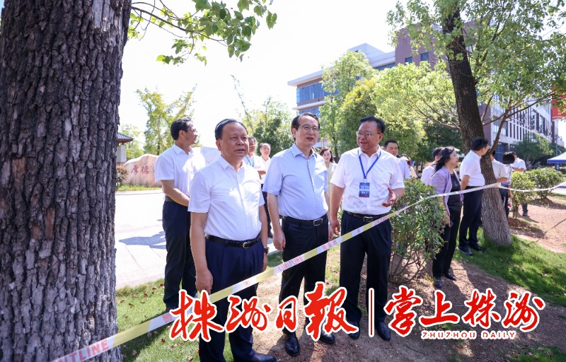 本组图片由 记者易翔 摄编辑:子一二审:胡文洁三审:叶新福